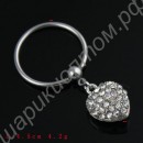 Кольцо для соска Steel Nipple Accessory